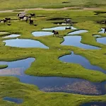 Campo Vecchio Mare Et Piscine