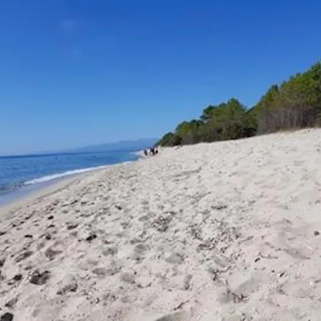 Campo Vecchio Mare Et Piscine Σαλέ Ghisonaccia