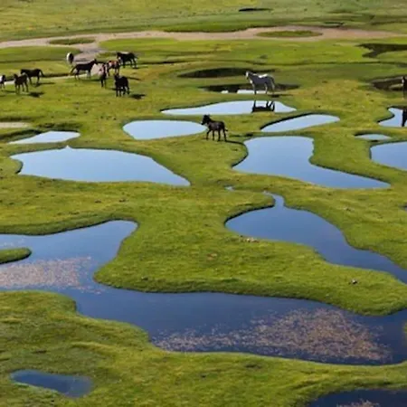 Campo Vecchio Mare Et Piscine