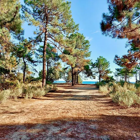 Campo Vecchio Mare Et Piscine * Ghisonaccia