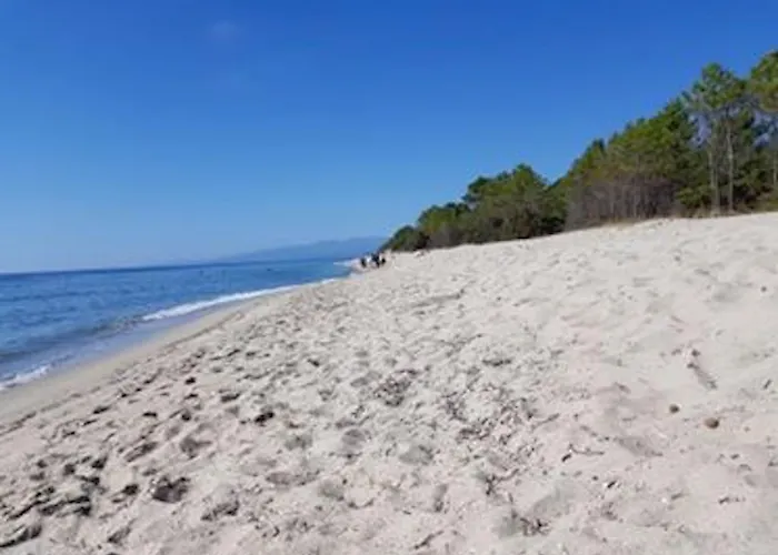 Campo Vecchio Mare Et Piscine Chalet Ghisonaccia