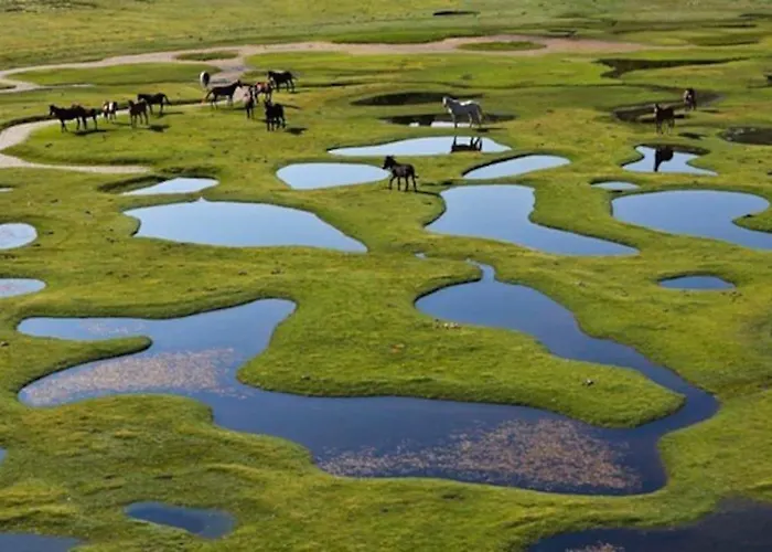 Campo Vecchio Mare Et Piscine