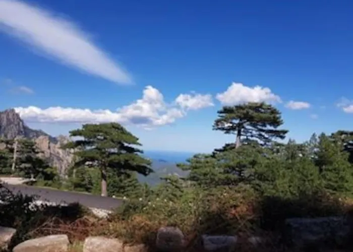 Chalet Campo Vecchio Mare Et Piscine Ghisonaccia