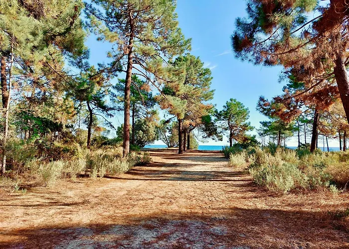 Campo Vecchio Mare Et Piscine * Ghisonaccia